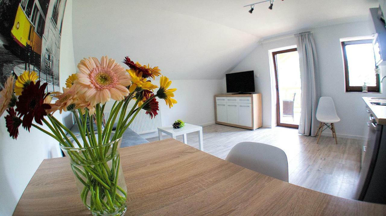 קרפאז' Apartamenty Karkonoskie מראה חיצוני תמונה