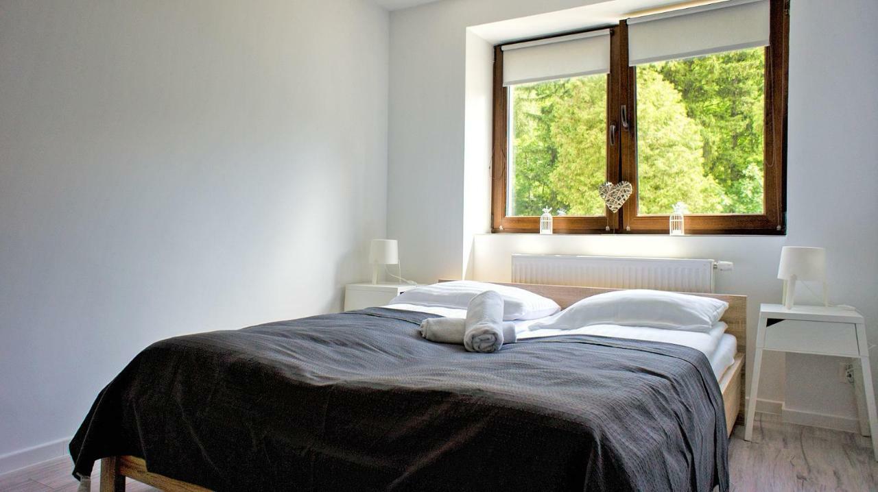 קרפאז' Apartamenty Karkonoskie מראה חיצוני תמונה