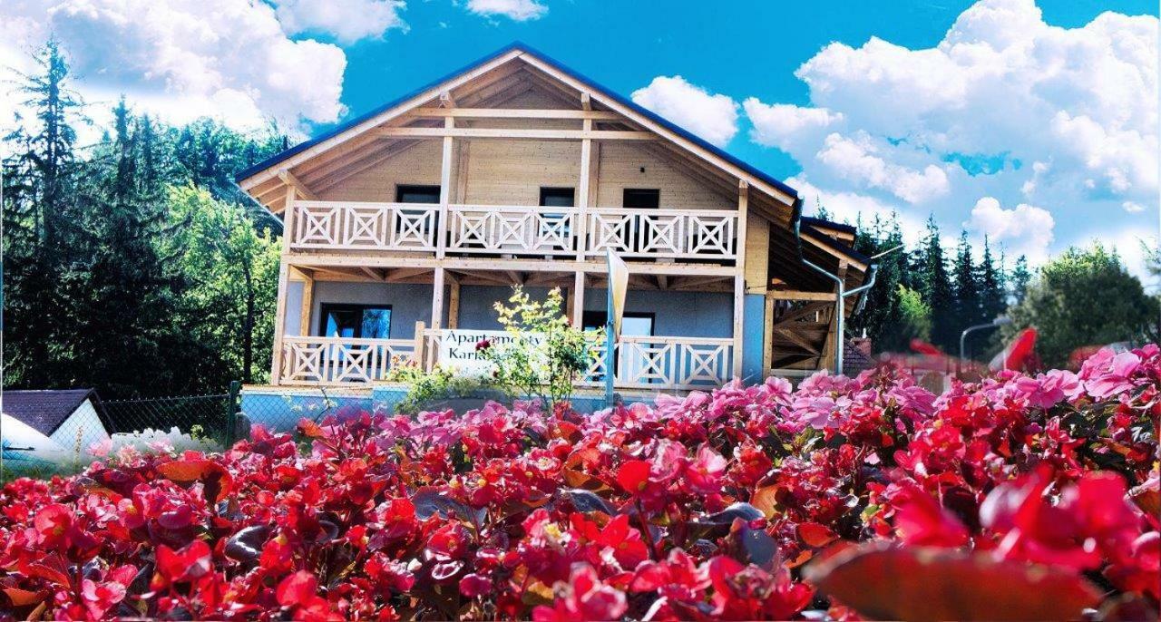 קרפאז' Apartamenty Karkonoskie מראה חיצוני תמונה